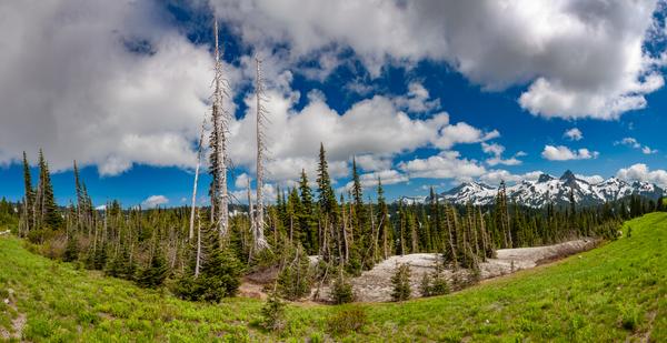 Washington-20110729-15-01-08-Pano-2